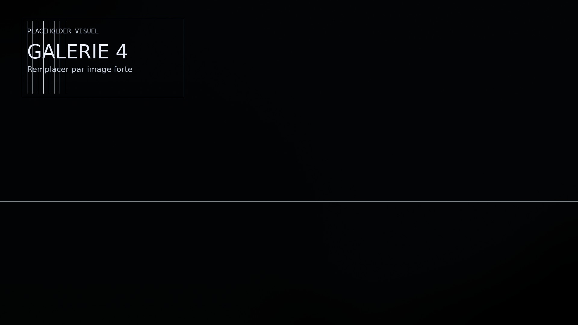 Galerie — visuel 04